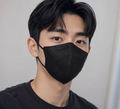 Mask - KN95 Black Face Mask - 10 Pack