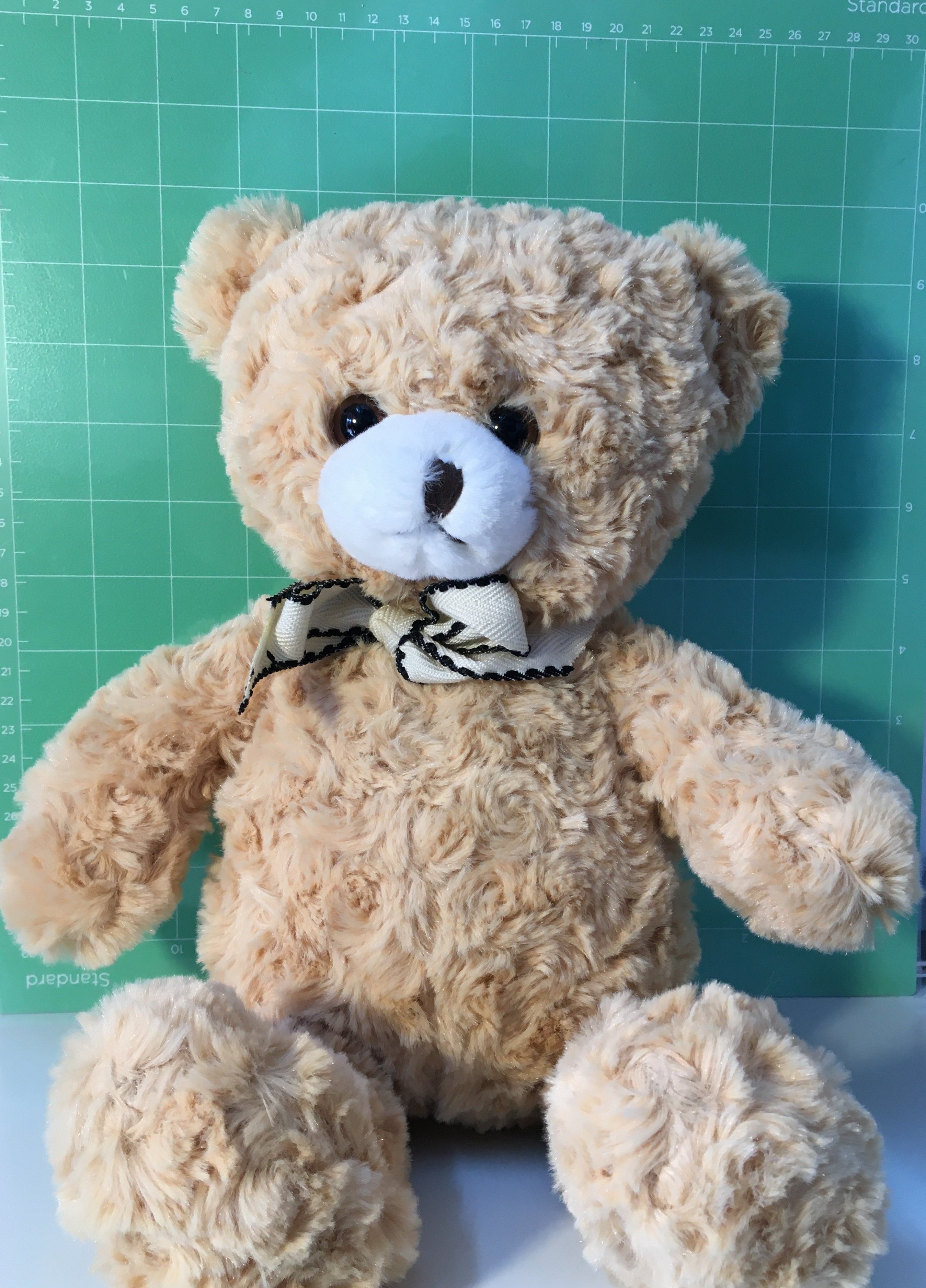 Gift (Soft Toy)